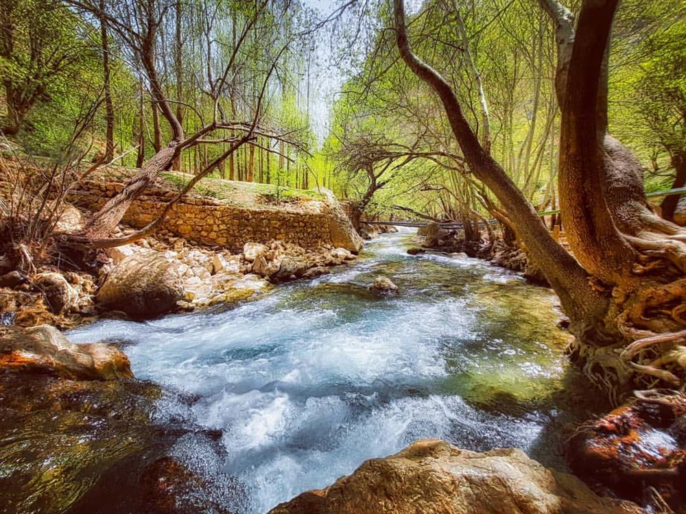 shiraz nature tour - tang,e bostanak canyon 